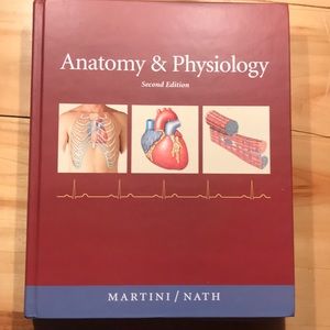 Anatomy & Physiology